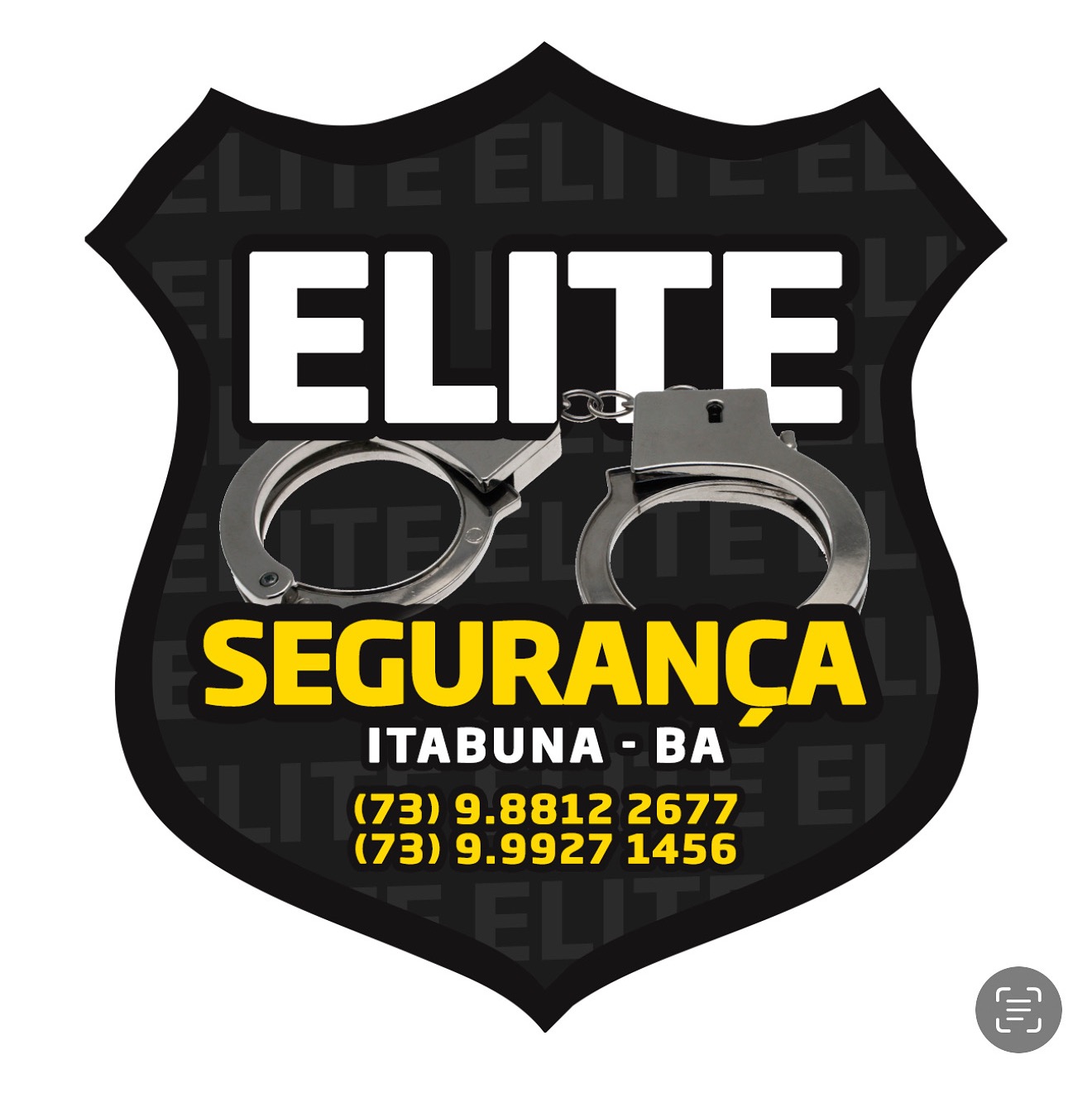 EMPRESA DE SEGURANÇA 